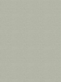 Fabric by the yard - Timeless Classics 21388 Matcha