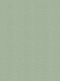 Fabric by the yard - Timeless Classics 21395 Matcha