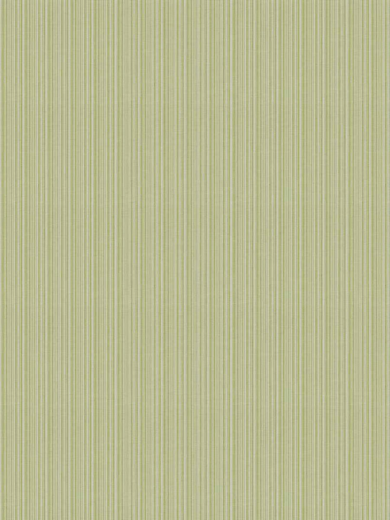 Fabric by the yard - Timeless Classics 21382 Pear