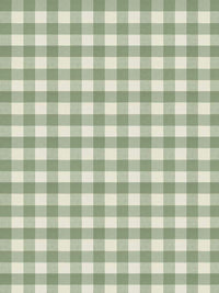 Fabric by the yard - Timeless Classics 21393 Matcha