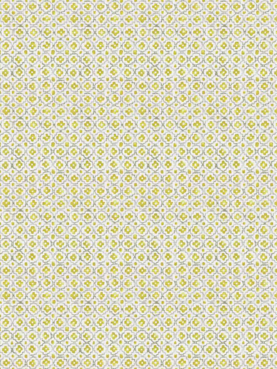 fabric swatch 74562 citrus