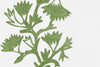Fabric by the yard - Blossom & Lace 90149 Bells of Ireland