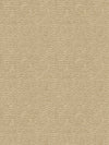 Fabric by the yard - Collection 111 44458 Ecru