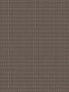 Fabric by the yard - Collection 111 44625 Black